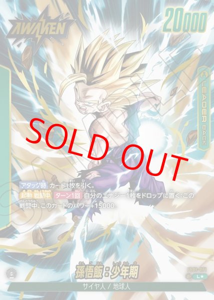 画像1: 孫悟飯:少年期【L★】《緑》 (1)