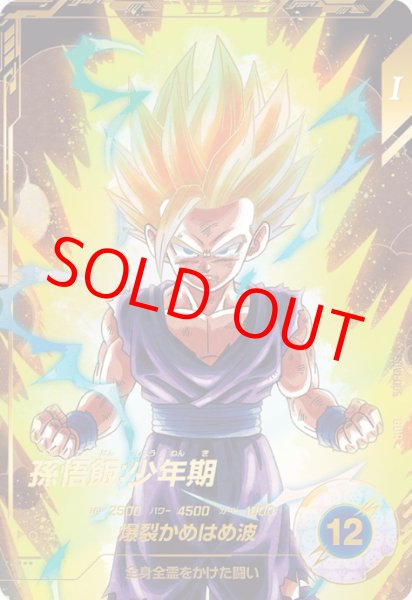 画像1: 孫悟飯：少年期【GDR★】《ー》 (1)