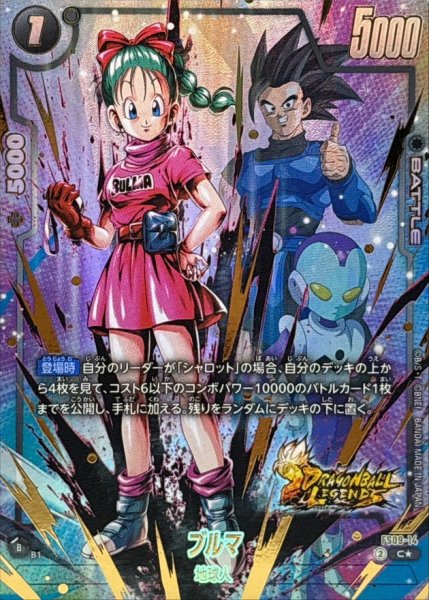 画像1: ブルマ※金箔加工【C★】《黒》 (1)
