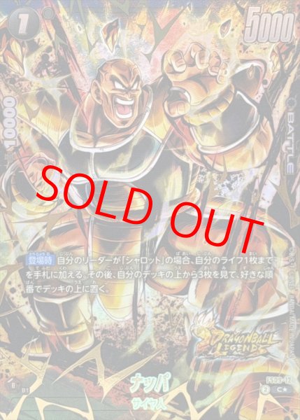 画像1: ナッパ※金箔加工【C★】《黒》 (1)