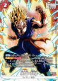 ドラゴンボール プロモ MANGA ver. 201個セット PR WINNER ドラゴンボール プロモ MANGA ver. 201個セット PR WINNER
