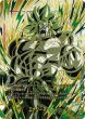 画像3: 【未開封】エナジーマーカー【★】《ベジット/フリーザ/ブロリー》３枚セット (3)