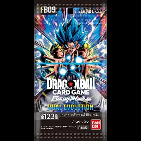 画像1: 【１BOX】 DUAL EVOLUTION/FB09 (1)