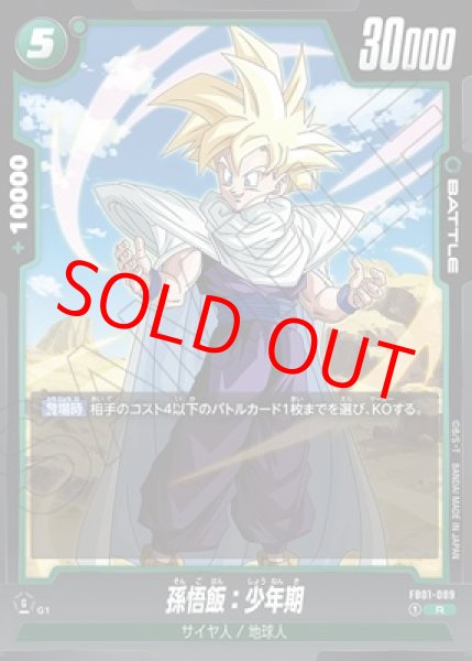 画像1: 孫悟飯：少年期【R】《緑》 (1)