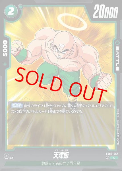 画像1: 天津飯【C】《緑》 (1)