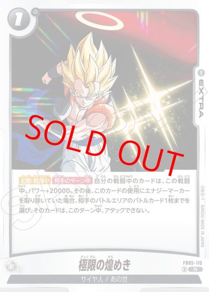 画像1: 極限の煌めき【R】《黒》 (1)