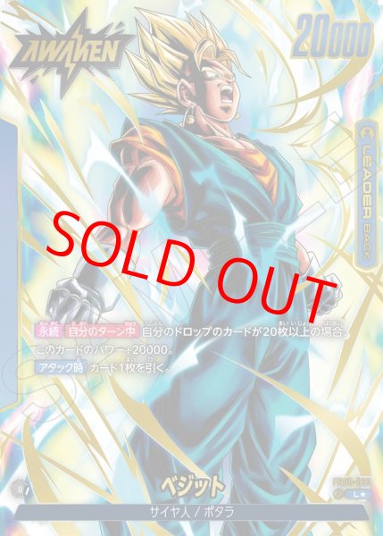 画像1: ベジット【L★】《青》 (1)