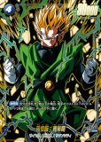極限の煌めき【R☆】《黒》 特別再録版FB05-115『FB06』 販売