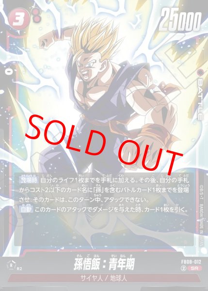 画像1: 孫悟飯：青年期【SR】《赤》 (1)