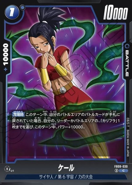 画像1: ケール【C】《青》 (1)