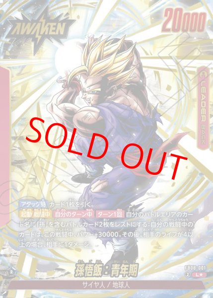 画像1: 孫悟飯：青年期【L★】《赤》 (1)