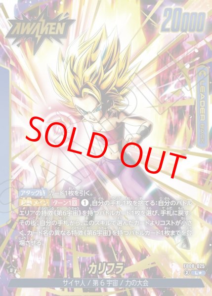 画像1: カリフラ【L★】《青》 (1)