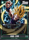 極限の煌めき【R☆】《黒》 特別再録版FB05-115『FB06』 販売