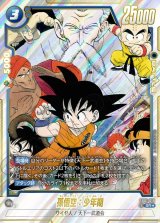 ドラゴンボール - メル ドラゴンボール カードダス 294 超戦士たち - メルカリ