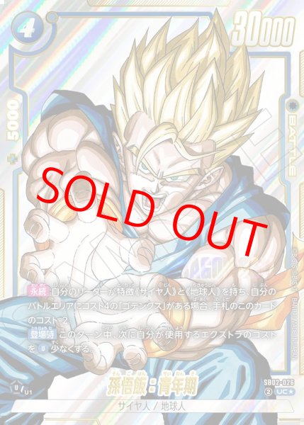 画像1: 孫悟飯：青年期【UC★】《青》 (1)