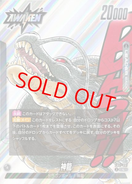 画像1: 神龍【L】《黒》 (1)
