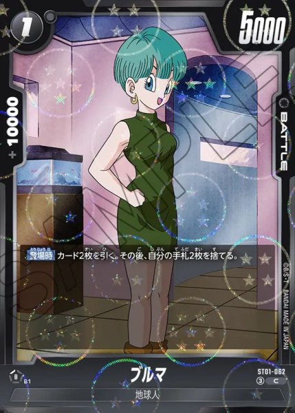 画像1: ブルマ【C】《黒》 (1)
