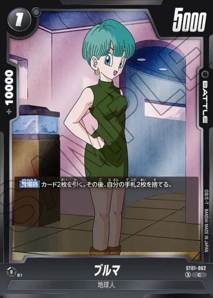 画像1: ブルマ【C】《黒》 (1)
