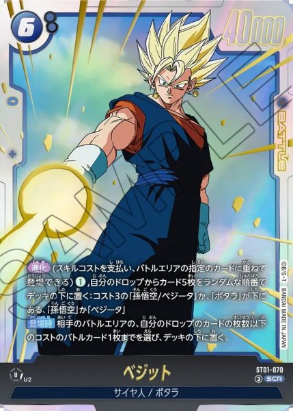画像1: ベジット【SCR】《青》 (1)